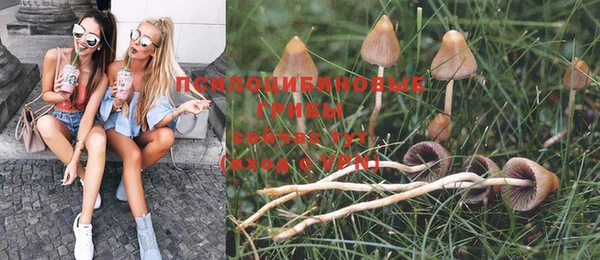 MDMA Белокуриха