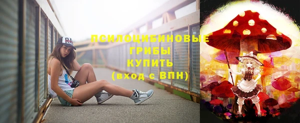 MDMA Белокуриха
